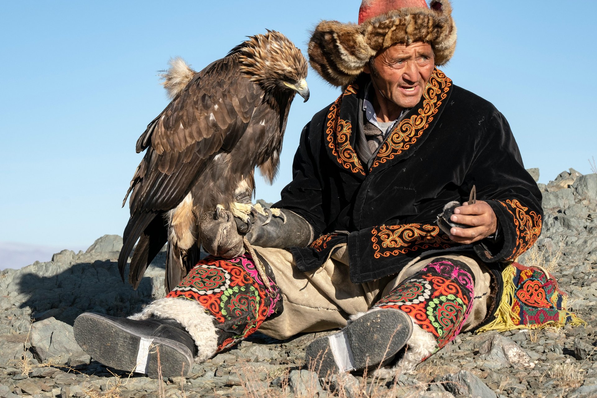 Aigle posé sur la main d'un mongol en Mongolie