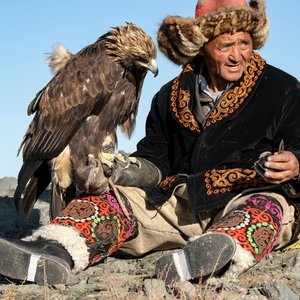 Aigle posé sur la main d'un mongol en Mongolie