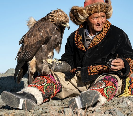 Aigle posé sur la main d'un mongol en Mongolie