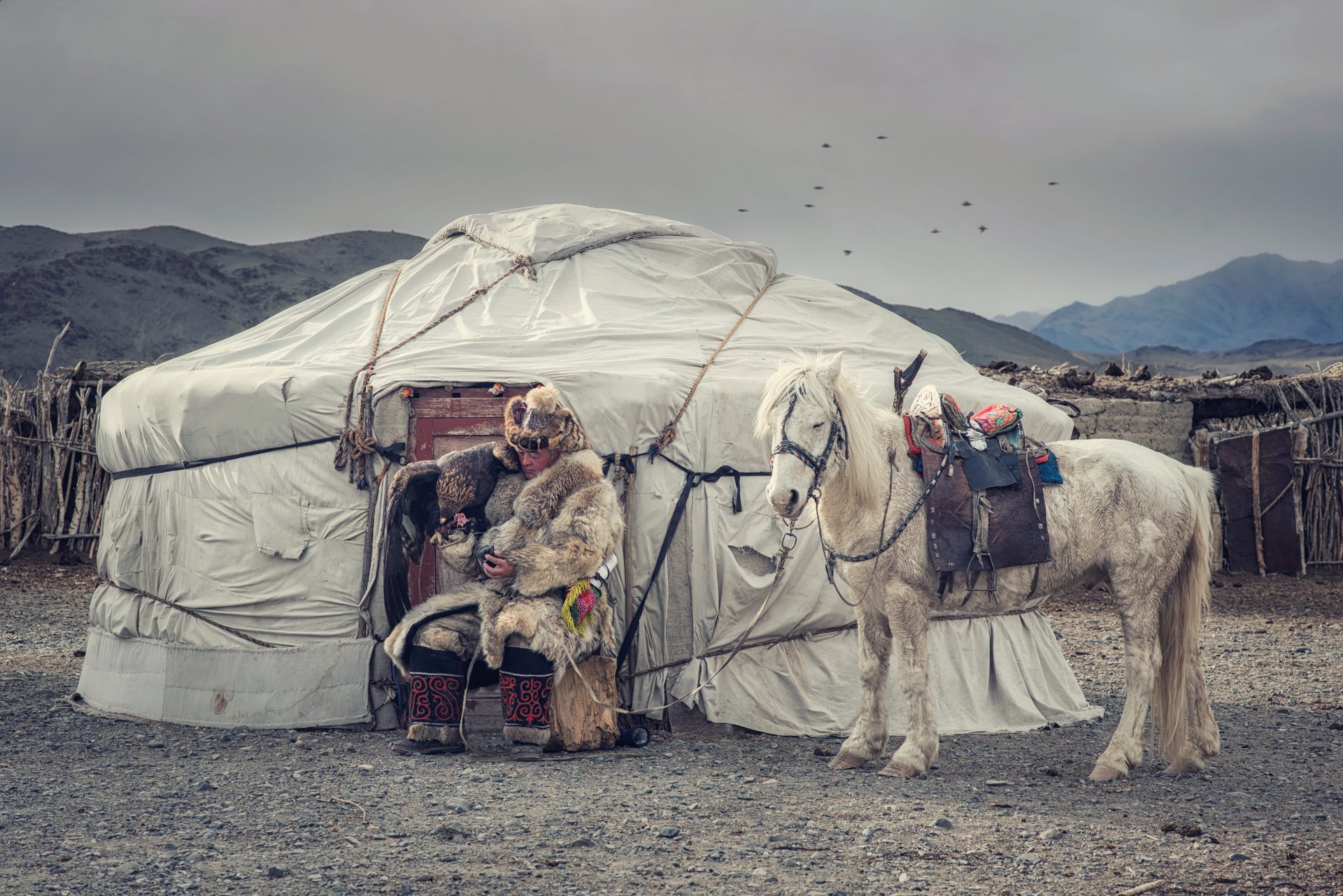 Chasseur d'aigle en tenue traditionnelle devant une yourte en Mongolie