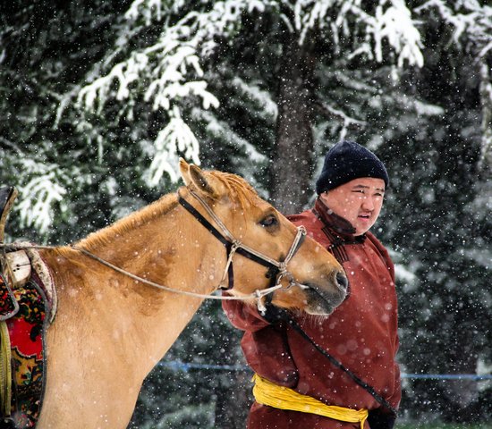 Un homme tient un cheval sous la neige à Ovorhangay en Mongolie