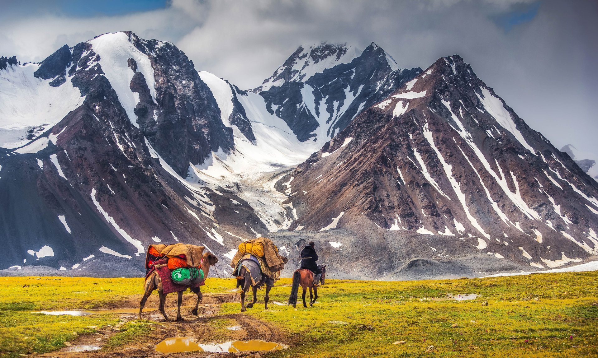 Paysages de chevaux devant les montagnes en Mongolie