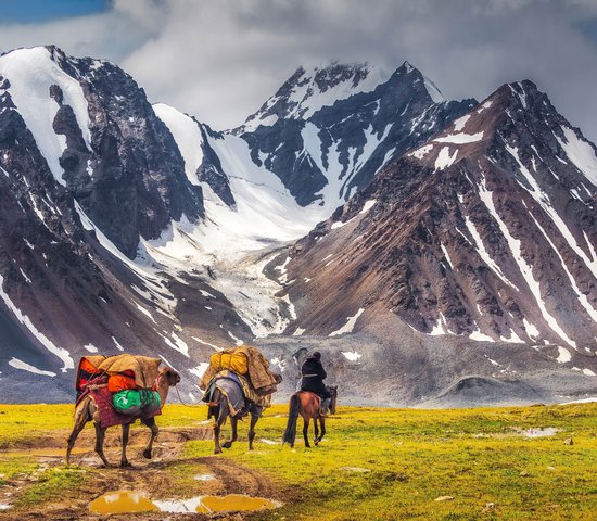 Paysages de chevaux devant les montagnes en Mongolie