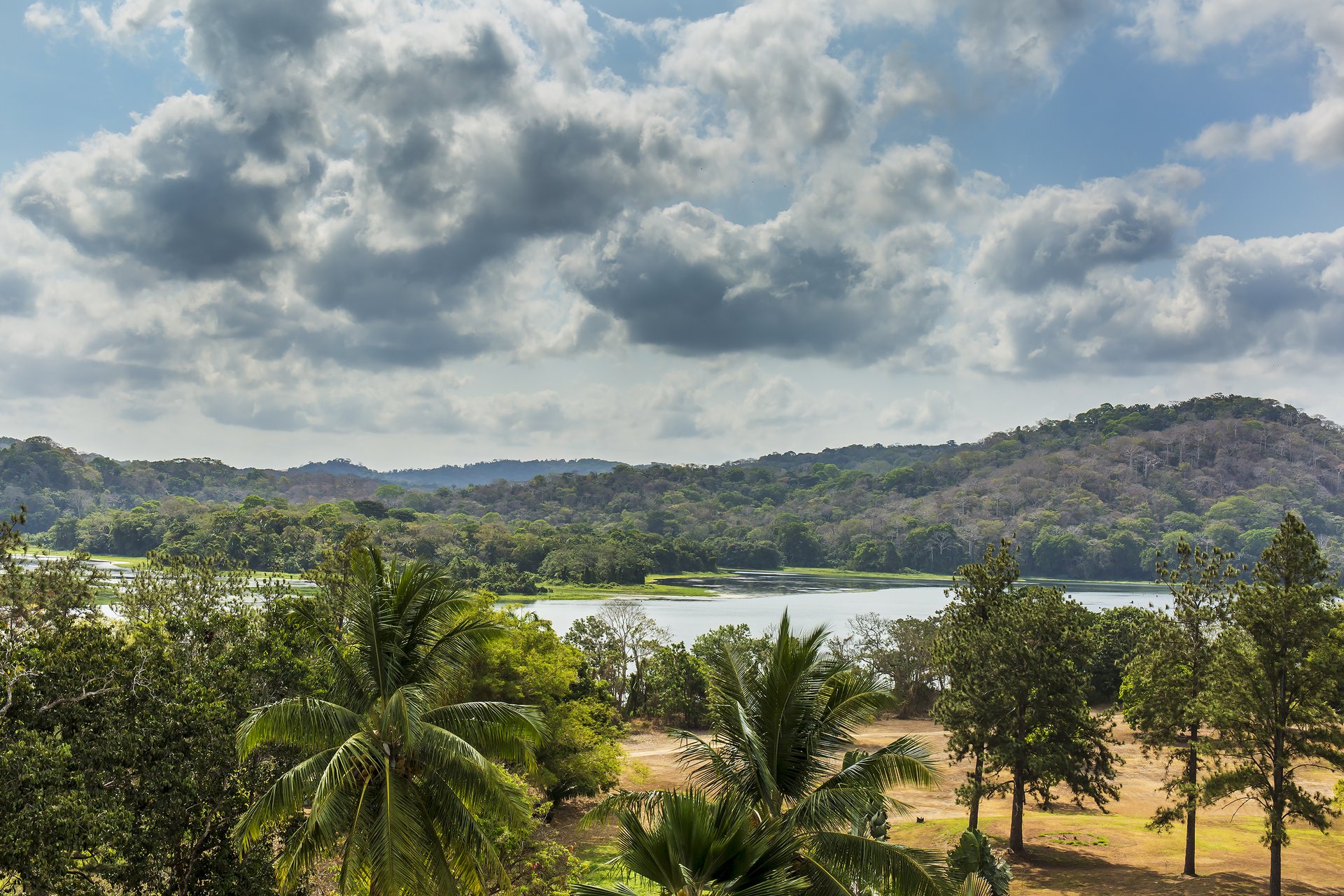 Vue sur les collines depuis Gamboa, Panama