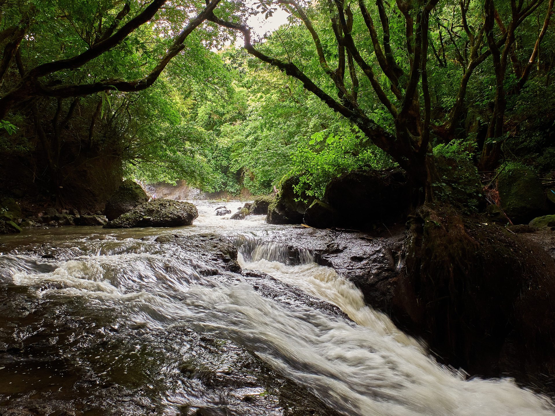 Rivière dans la vallée d'Anton, Panama