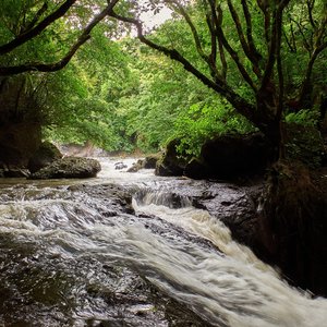 Rivière dans la vallée d'Anton, Panama