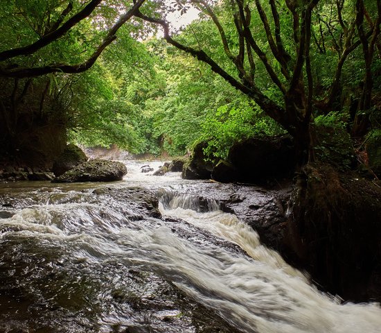 Rivière dans la vallée d'Anton, Panama