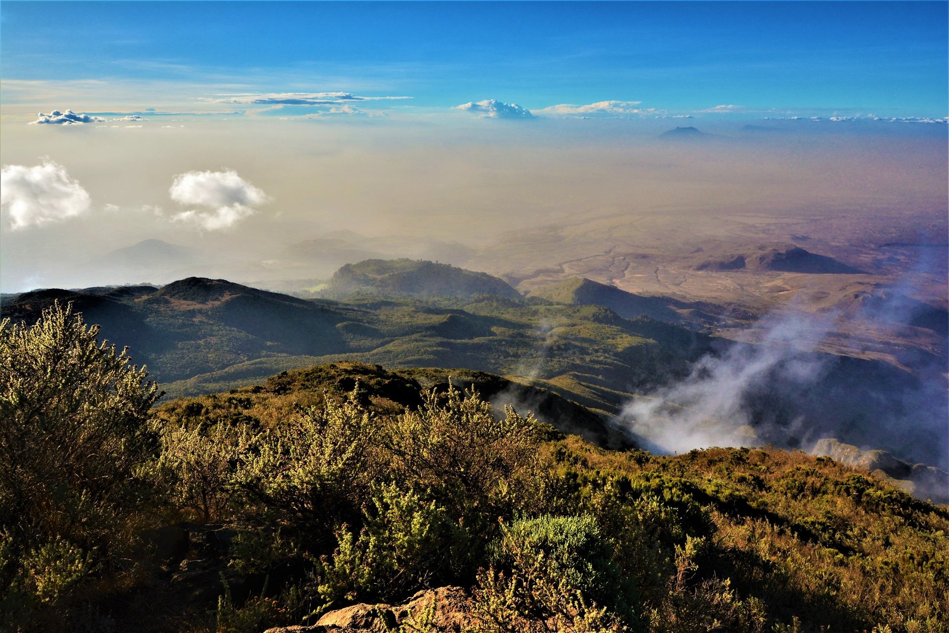 Parc national Arusha   Tanzanie