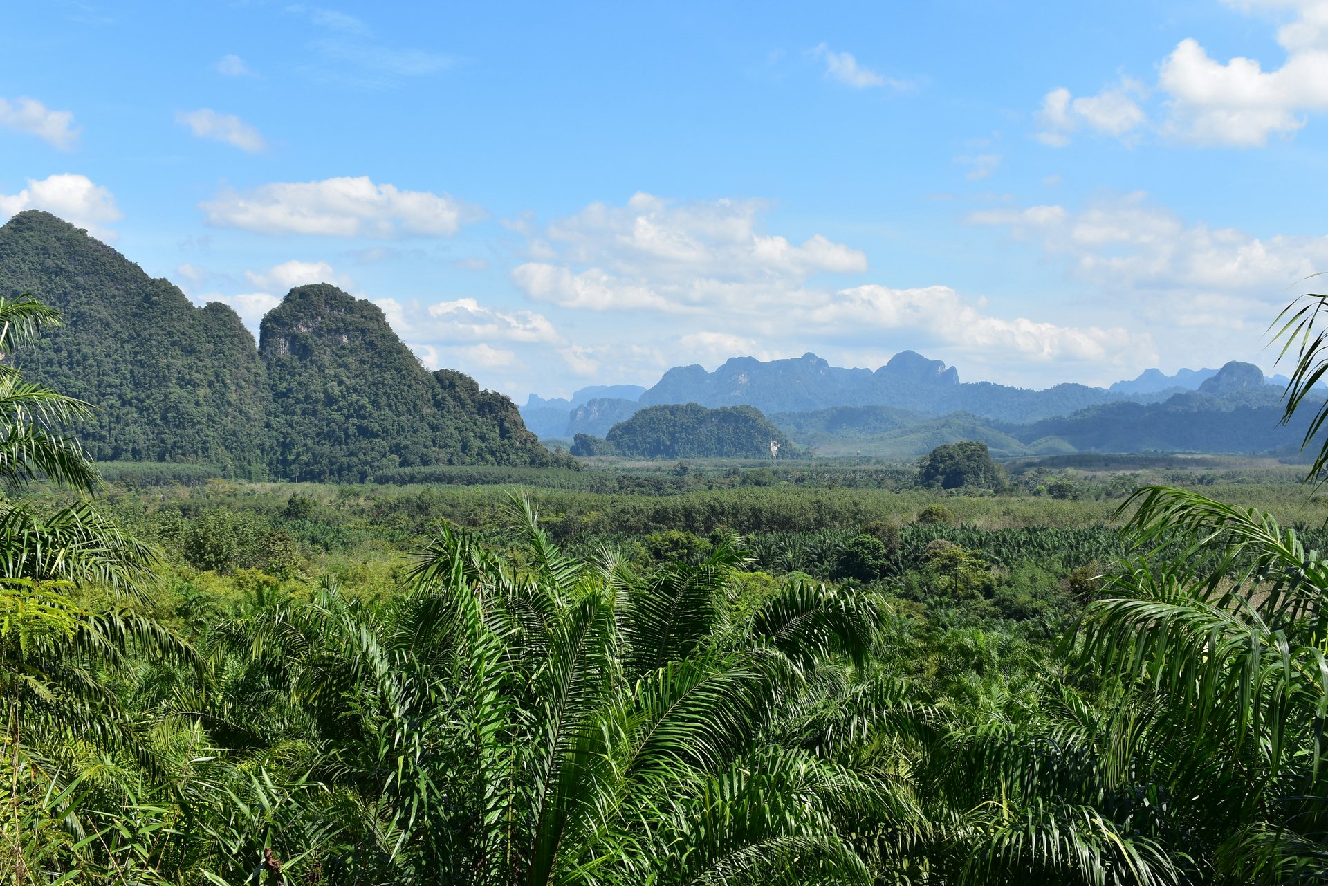 Khao Sok, Thaïlande