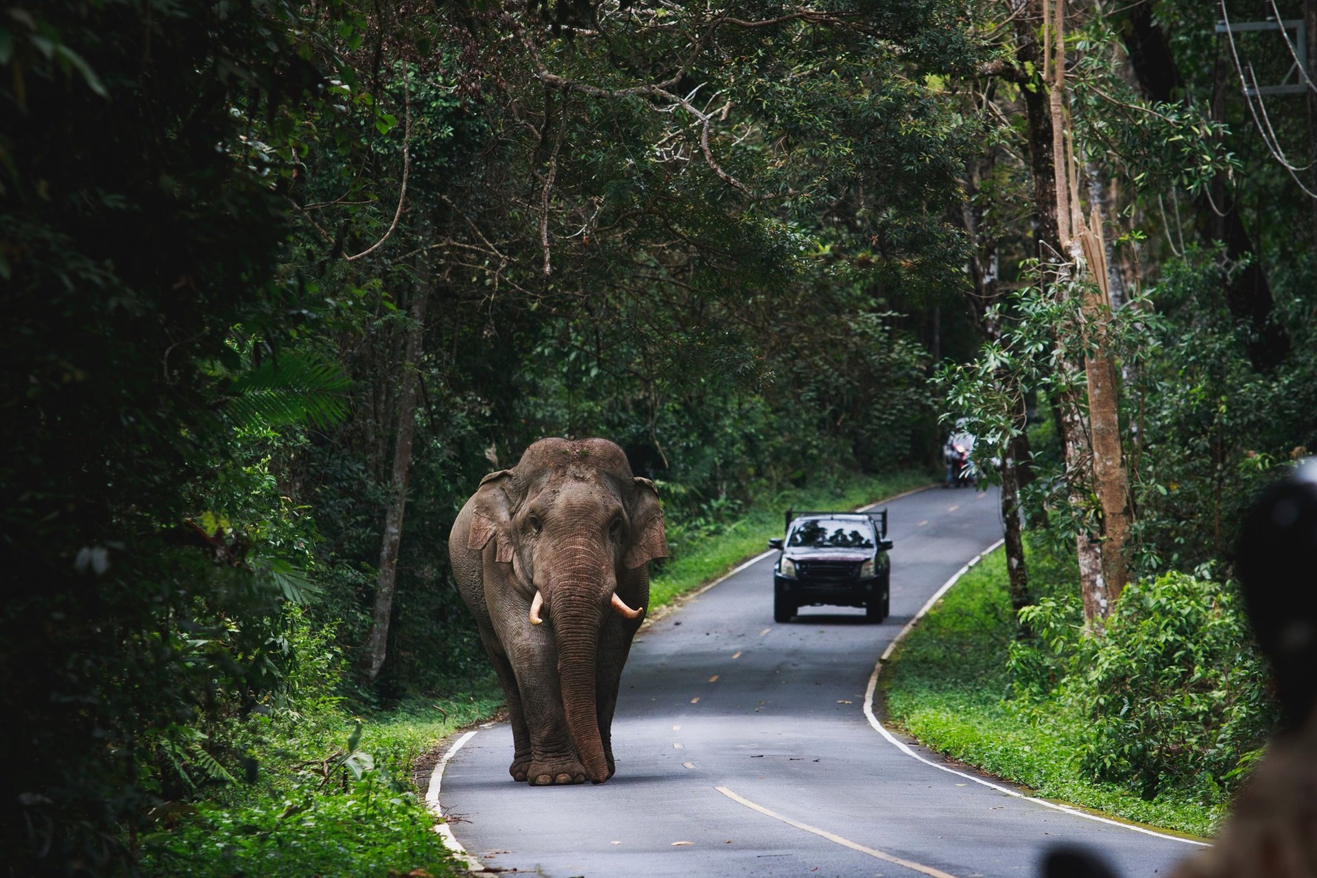 Parc national Khao Yai, Thaïlande