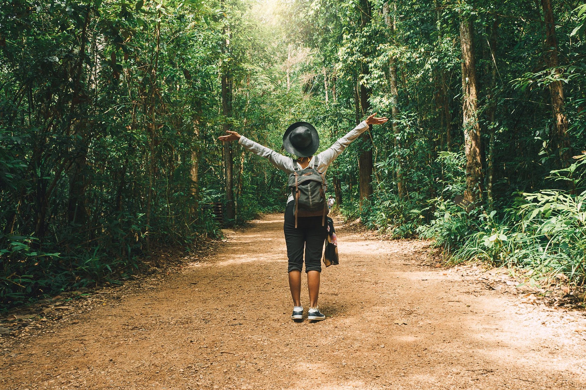 Randonnées en Thaïlande   Krabi, forêt tropicale