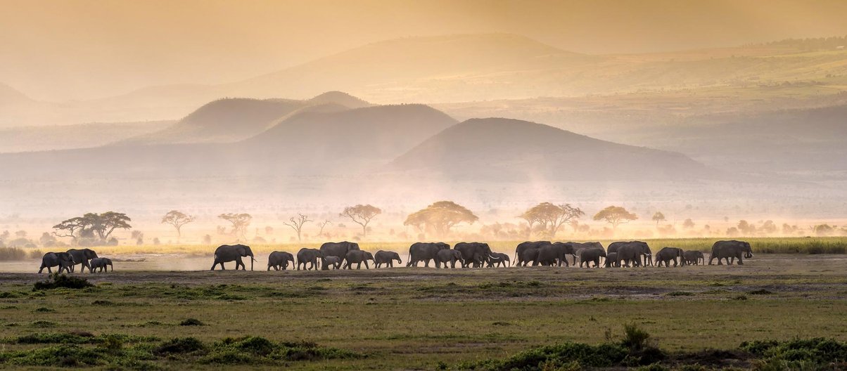 voyage en tanzanie danger