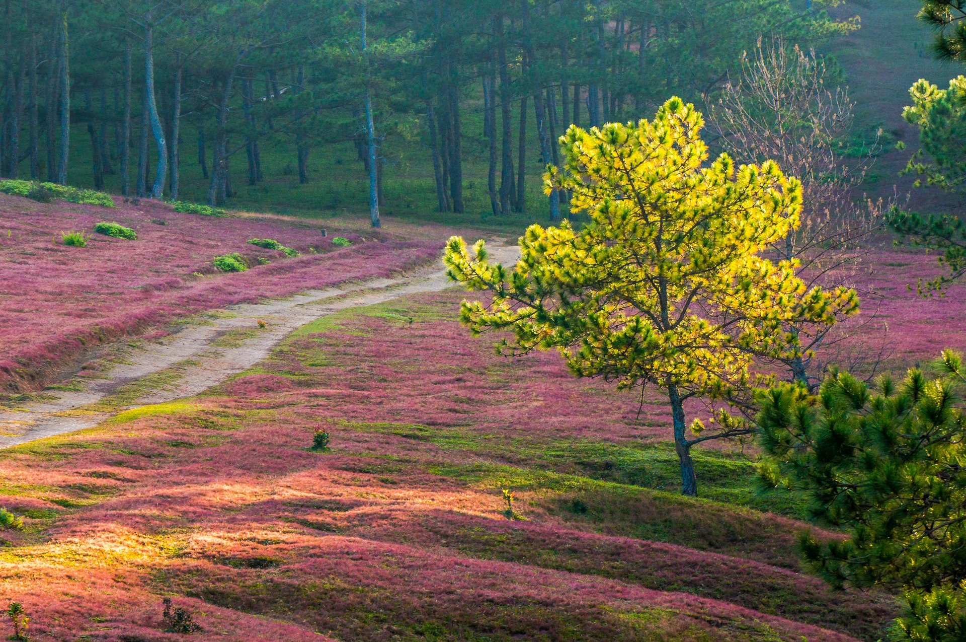 Da Lat