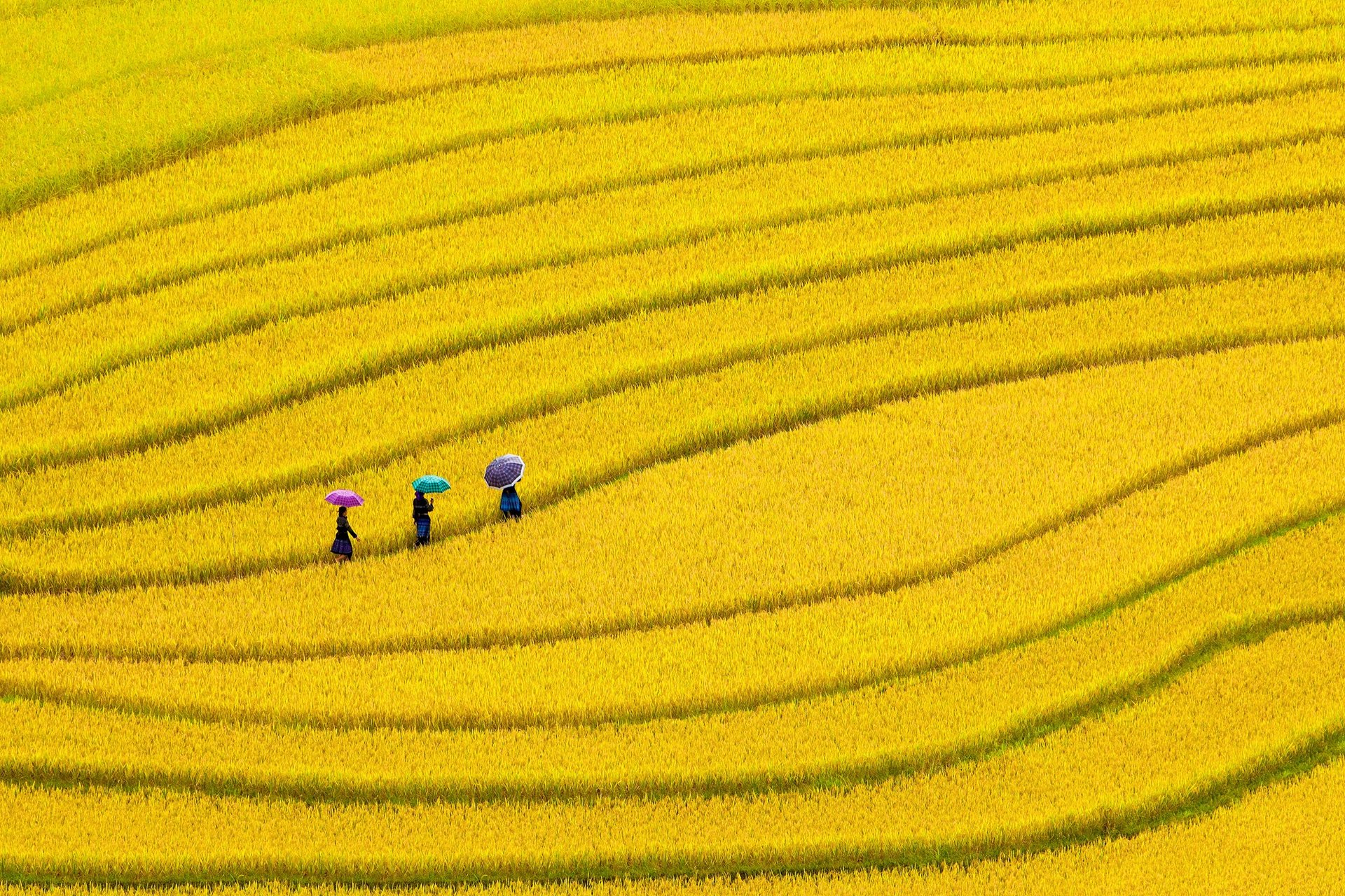 Géographie et paysages du Vietnam