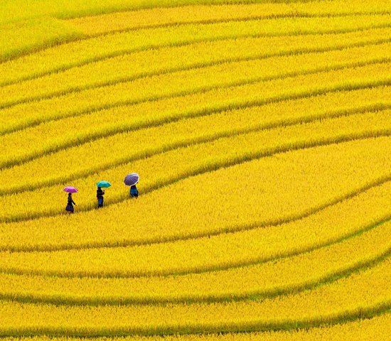 Géographie et paysages du Vietnam