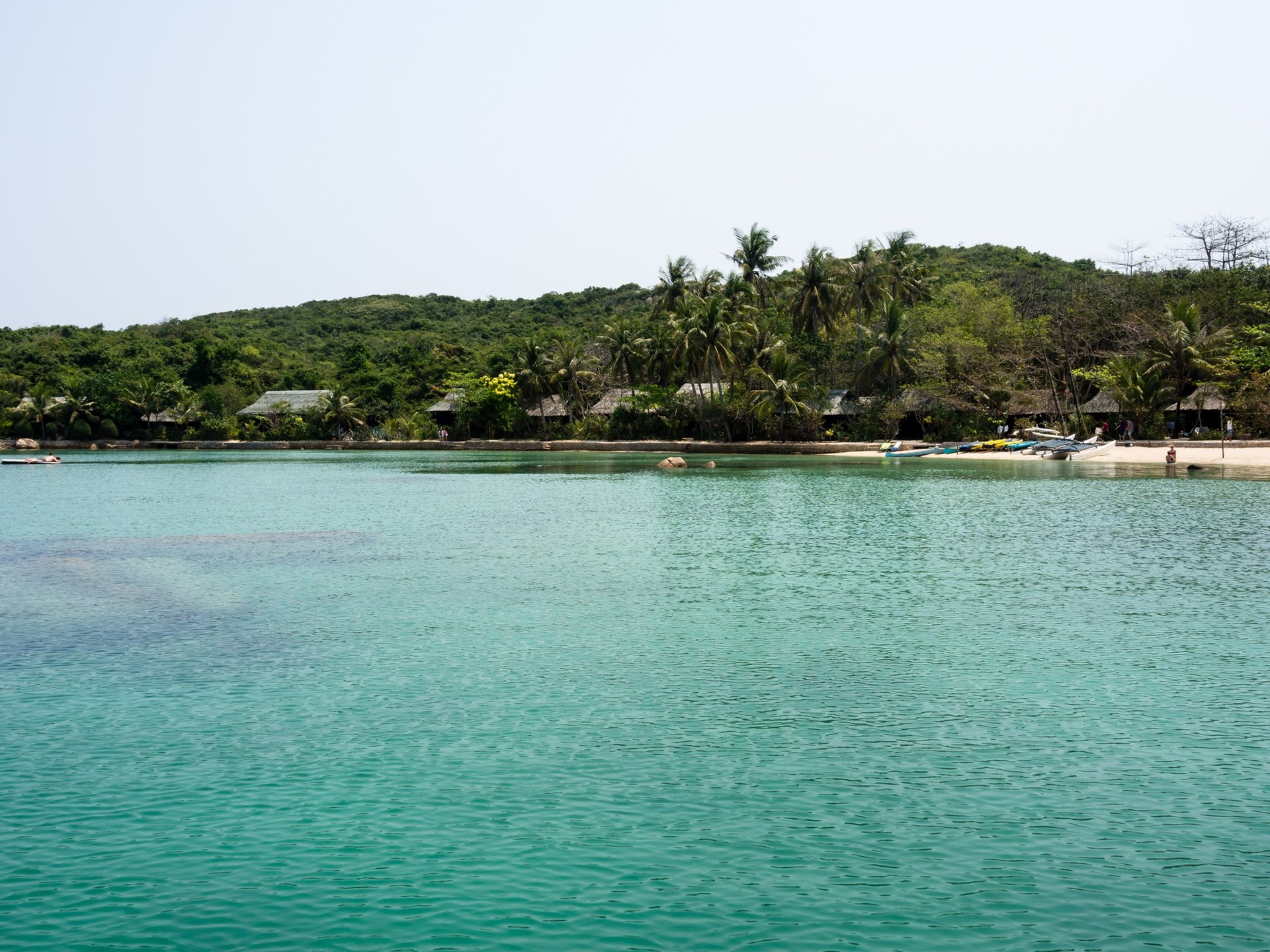 Île de la baleine