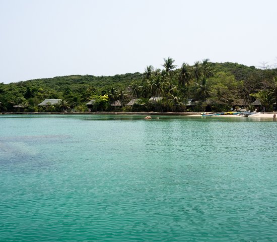 Île de la baleine